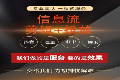 大型SEM服务公司案例分析